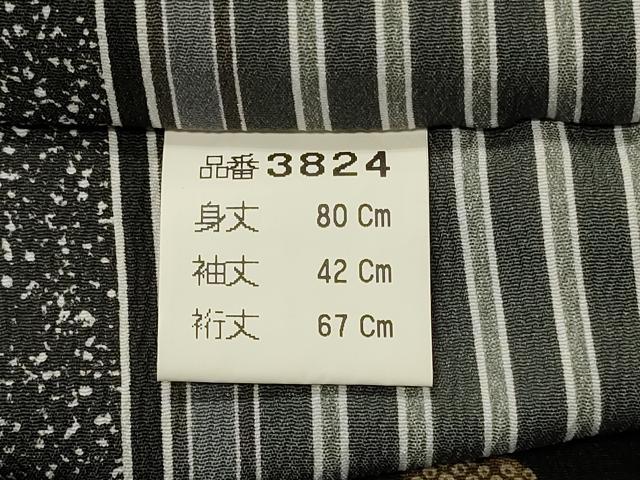 平和屋着物#道中着 リバーシブル 吹き寄せ文 洗える着物 CABI6172in