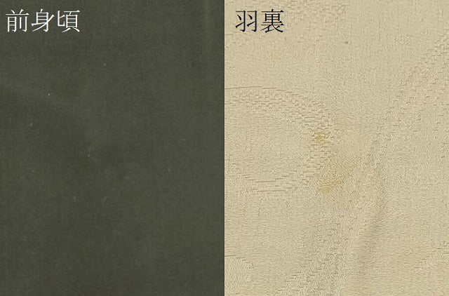 平和屋着物∞羽織 枝花文 黒地 正絹 逸品 CABI6250in
