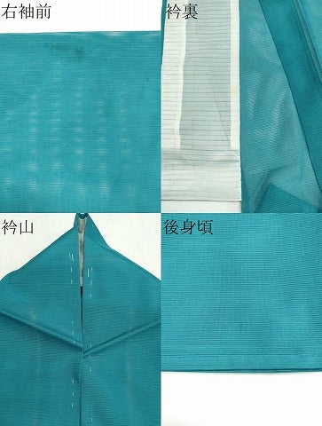 平和屋着物*夏物 色無地 絽 納戸色 洗える着物 逸品 CABI6455ou