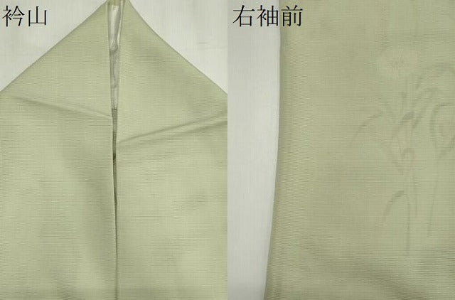 平和屋着物*夏物 訪問着 絽 枝花文 金彩 ロング丈 正絹 逸品 CABI6475ou