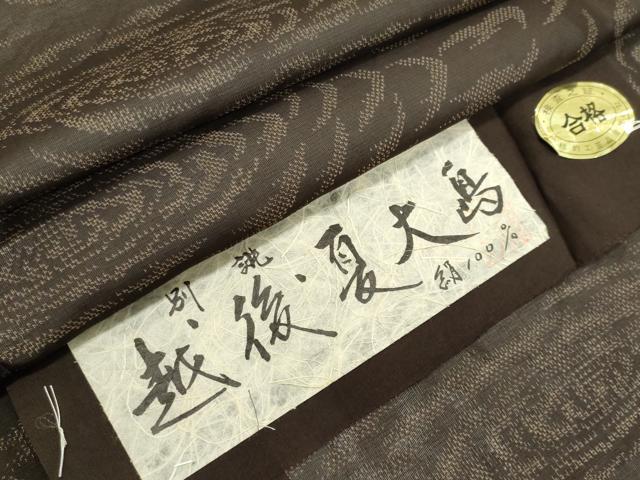 平和屋着物*夏物 紬 越後 夏大島 紗 流水文 銀糸 証紙付き 正絹 逸品 CABI6487ou