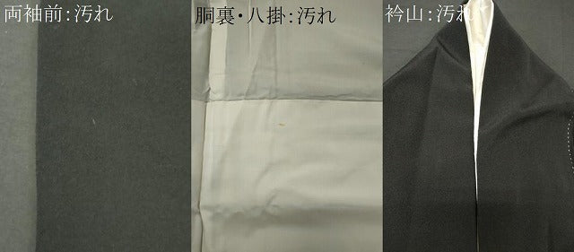 平和屋着物■五代 歌舞伎役者 坂東八十助 黒留袖 作家物 駒刺繍 立波飛鶴文 暈し染め 金彩 正絹 逸品 CABI6704ou