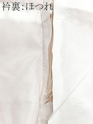 平和屋着物■訪問着 花蝶文 金彩 正絹 逸品 CABI6830xe