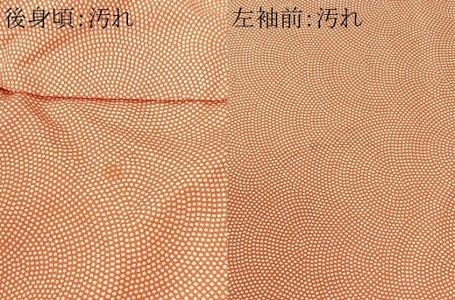 平和屋着物■江戸小紋 鮫小紋柄 正絹 逸品 CABI6967xe