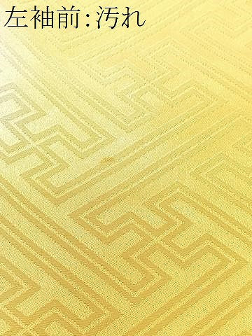 平和屋着物■豪華振袖 駒刺繍 唐草花丸文 暈し染め 金彩 正絹 逸品 CABI7034xe
