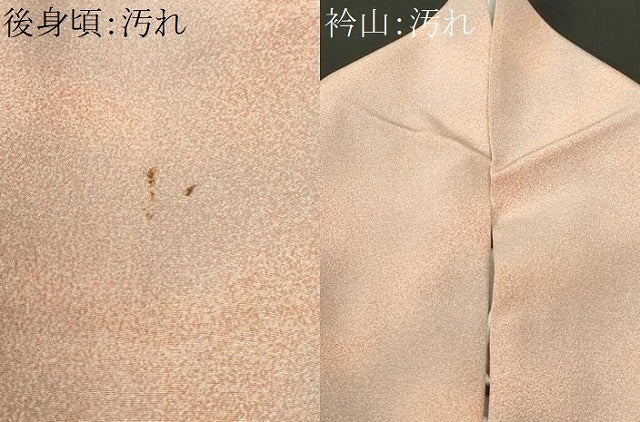 平和屋着物■小紋 霞文 洗える着物 CABI7810ev