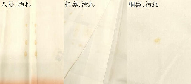 平和屋着物■訪問着 刺繍 草花丸文 正絹 逸品 CABI8186ev