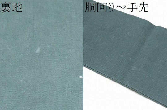 平和屋着物●九寸名古屋帯 型染め 花蝶文 正絹 逸品 CABI9124hy
