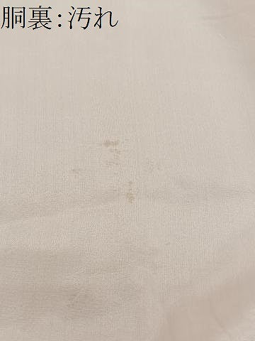 平和屋着物■上質な色無地 雲取り地紋 肉桂色 正絹 逸品 CABI9226ua