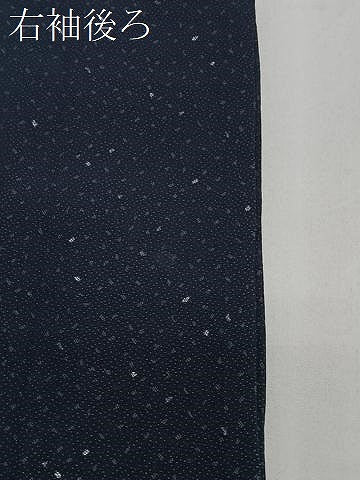 平和屋着物#道中着 単衣 霞文 正絹 逸品 CABI9464ua