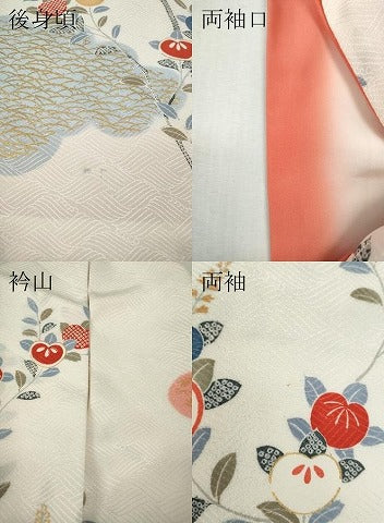 平和屋着物●訪問着 雲重ね枝橘文 正絹 逸品 CABI9657ut