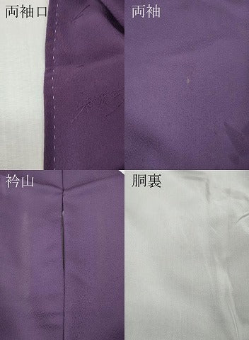 平和屋着物●染色作家 斉藤三才 訪問着 三才鳥 暈し染め 正絹 逸品 CABI9736ut