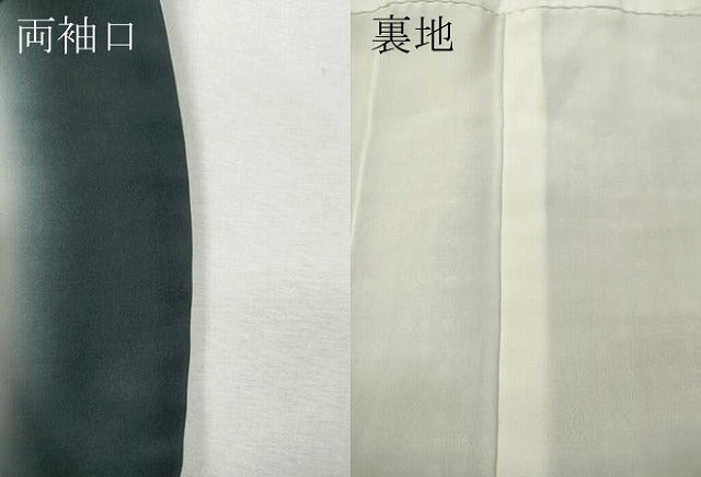 平和屋着物●色留訪問着 型染め 舞菊文 黒地 正絹 逸品 CABI9860ut