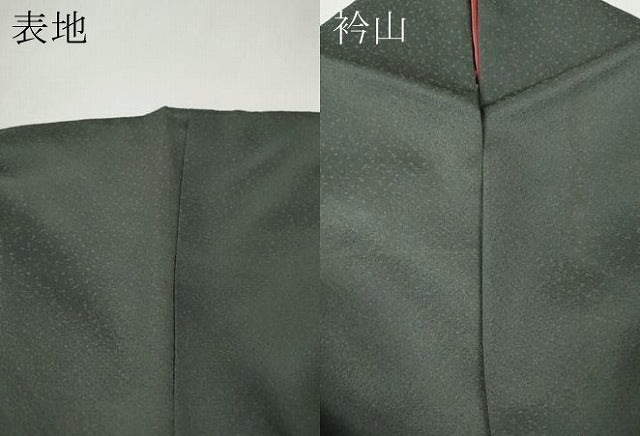 平和屋着物●色留訪問着 刺繍 舞蝶花鳥文 暈し染め 金彩 ますいわ屋扱い 正絹 逸品 CABI9918ut