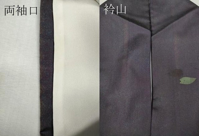 平和屋着物●訪問着 本場染大島紬 竹屋町刺繍 舞花びら 正絹 逸品 CABI9927ut