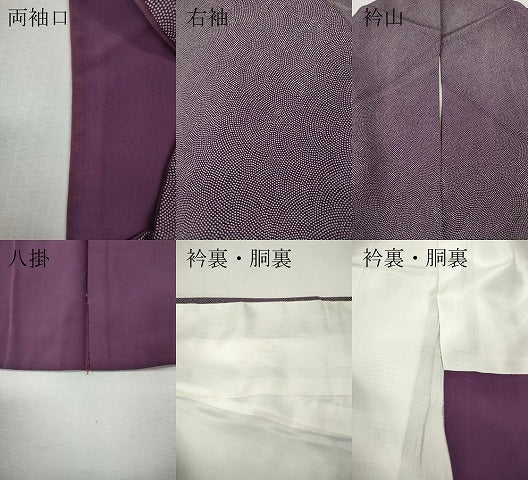 平和屋着物●江戸小紋 鮫小紋柄 正絹 逸品 CABI9971ut