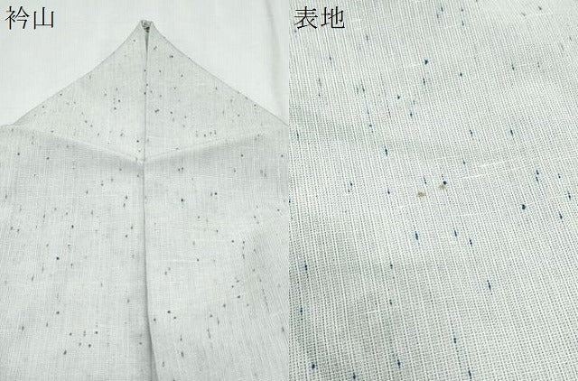 平和屋着物*夏物 訪問着 紗紬 草花文 正絹 逸品 CABJ0839th