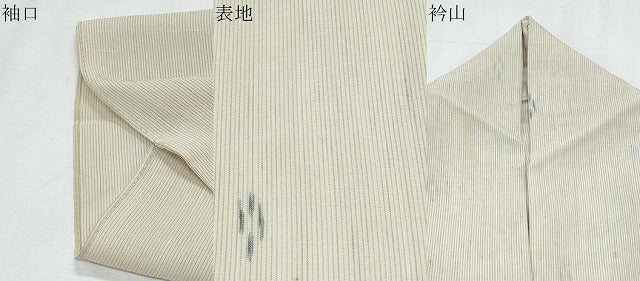 平和屋着物*夏物 紗紬 絣文様 正絹 逸品 CABJ0859th