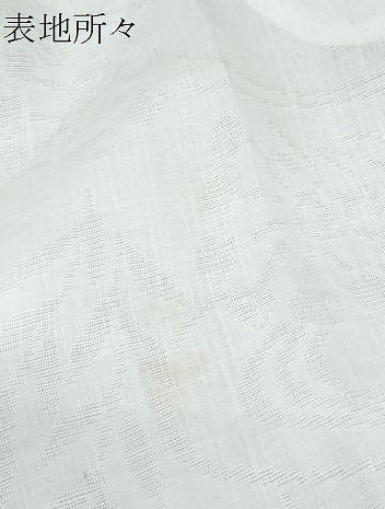 平和屋着物*夏物 長襦袢 流水文紗 CABJ0876th