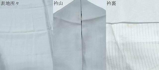 平和屋着物*夏物 訪問着 絽 草花文 金彩 ロング丈 正絹 逸品 CABJ0903th