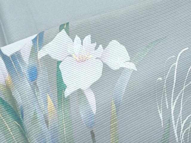 平和屋着物*夏物 訪問着 絽 草花文 金彩 ロング丈 正絹 逸品 CABJ0903th
