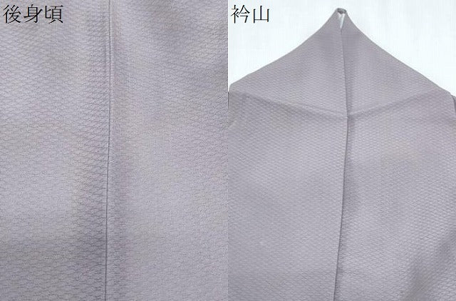 平和屋着物*夏物 訪問着 友禅 菱文紗 草花文 正絹 逸品 CABJ0930th