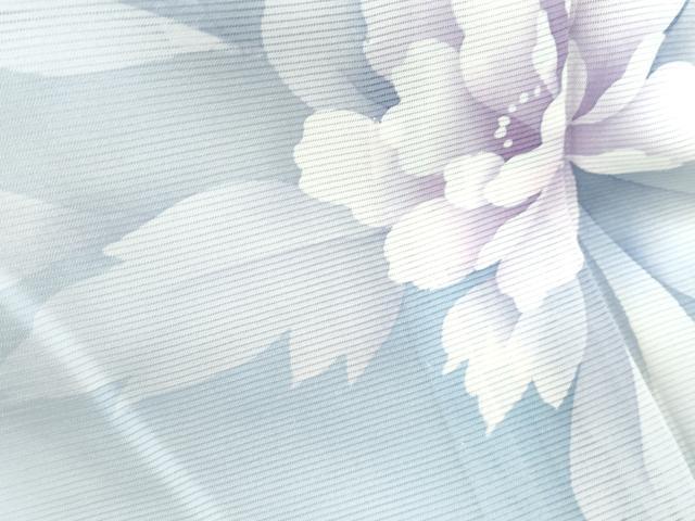 平和屋着物*夏物 訪問着 絽 草花文 暈し染め 正絹 逸品 CABJ0960th