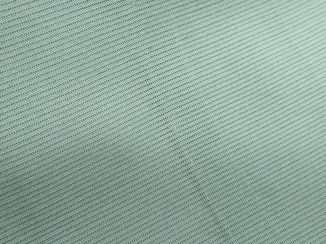 平和屋着物*夏物 色無地 絽 薄青色 阪急百貨店扱い 正絹 逸品 CABJ0982th