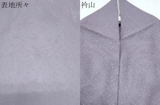 平和屋着物*夏物 色無地 霞文紗 浅紫色 正絹 逸品 CABJ0985th