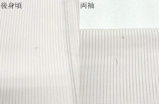 平和屋着物*夏物 訪問着 縦絽 紫陽花 正絹 逸品 CABJ0989th
