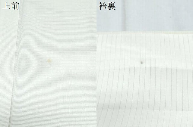 平和屋着物*夏物 訪問着 絽 手描き 草花文 正絹 逸品 CABJ1061th