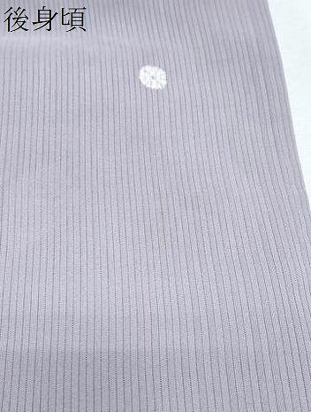 平和屋着物*夏物 小紋 絽 破れ色紙花文 正絹 逸品 CABJ1139th