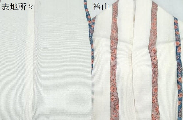 平和屋着物*夏物 小紋 絽 吉祥花間道 正絹 逸品 CABJ1196th
