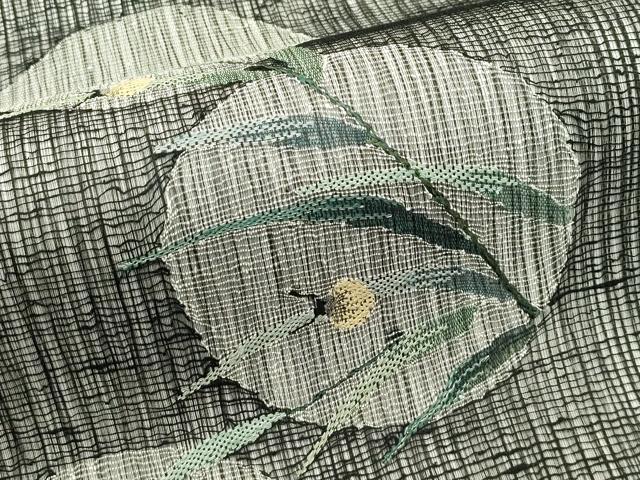 平和屋着物*夏物 太鼓柄袋帯 すくい織 夏虫 黒地 金銀糸 正絹 逸品 未使用 CABJ1702rv