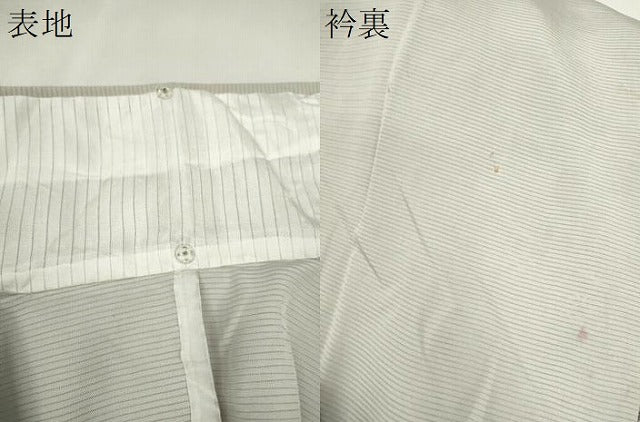 平和屋着物*夏物 訪問着 絽 駒刺繍 吉祥文 金彩 正絹 逸品 CABJ2551ze