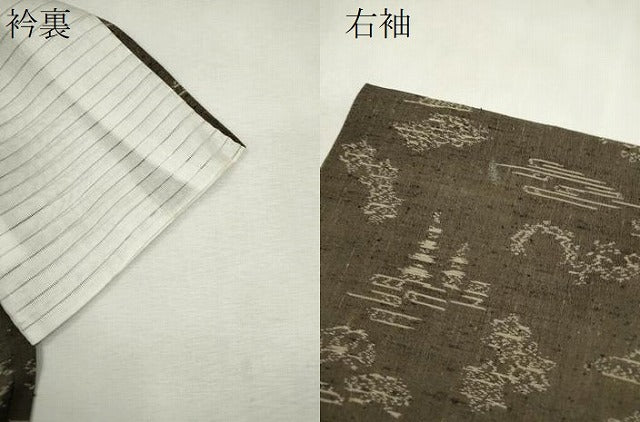 平和屋着物*夏物 紗紬 風景文 正絹 逸品 CABJ2555ze