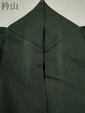 平和屋着物*夏物 訪問着 紗紬 ロング丈 絞り トンボ 正絹 逸品 CABJ2557ze