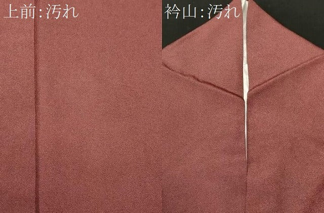 平和屋着物■江戸小紋 鮫小紋柄 正絹 逸品 CABJ3135ev
