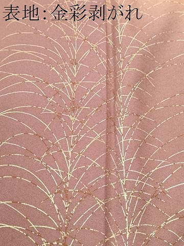 平和屋着物■訪問着 刺繍 芒草花文 暈し染め 金銀彩 正絹 逸品 CABJ3265ev