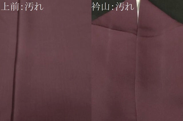 平和屋着物■上質な色無地 紫鳶色 正絹 逸品 CABJ3455ev