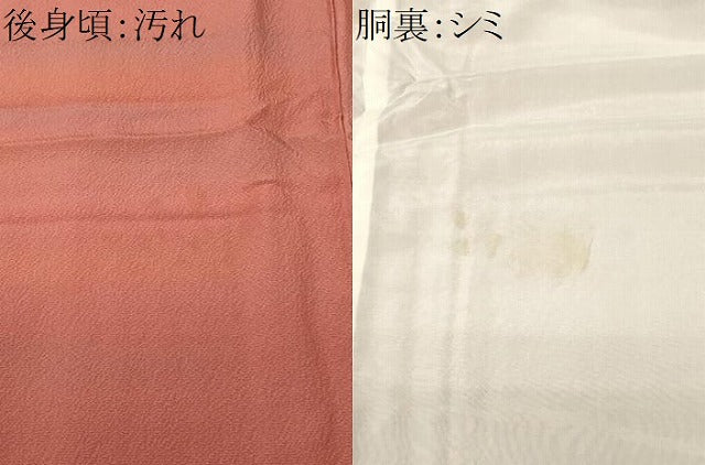 平和屋着物■染色家 岩浅公展 小紋 霞文 暈し染め 正絹 逸品 CABJ3492ev