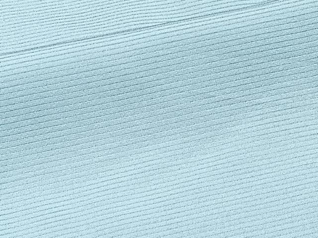 平和屋着物*夏物 色無地 変わり絽 水色 正絹 逸品 CABJ4007xi