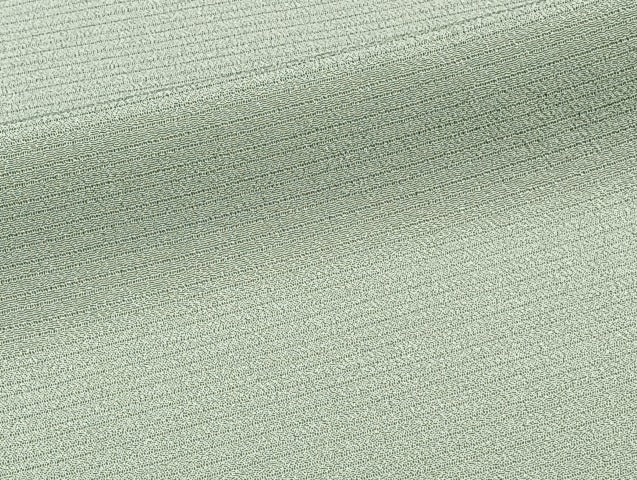 平和屋着物*夏物 本加賀友禅作家 梶山伸監修 色無地 絽縮緬 山葵色 証紙付き 正絹 逸品 CABJ4012xi