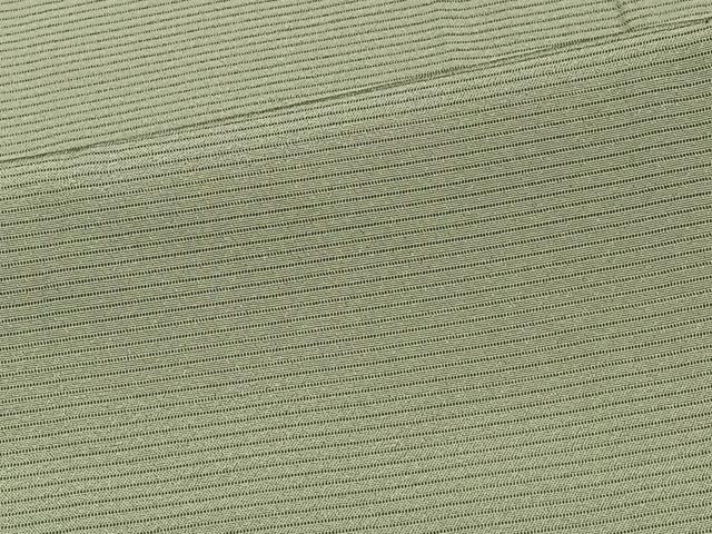 平和屋着物*夏物 色無地 絽 柳茶色 正絹 逸品 CABJ4015xi