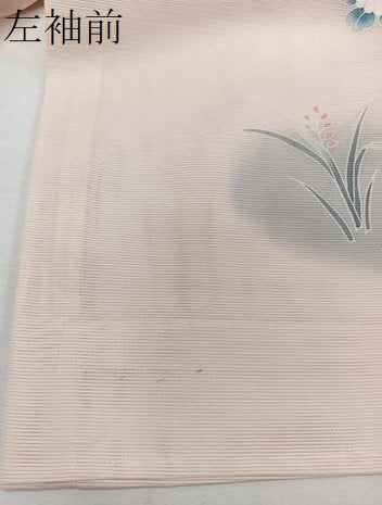 平和屋着物*夏物 訪問着 絽 友禅 草花文 正絹 逸品 未使用 CABJ4033xi