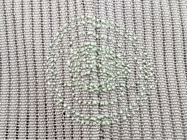 平和屋着物*夏物 訪問着 縦絽 刺繍 草花文 暈し染め 金銀彩 正絹 逸品 未使用 CABJ4044xi