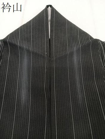 平和屋着物*夏物 小紋 縦絽 間道矢羽文 黒地 正絹 逸品 CABJ4098xi