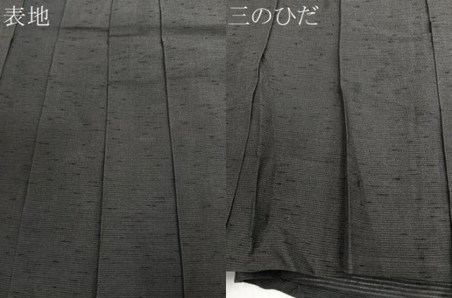 平和屋着物*夏物 男性 行灯袴 絽 赤墨色 正絹 逸品 CABJ4201xi
