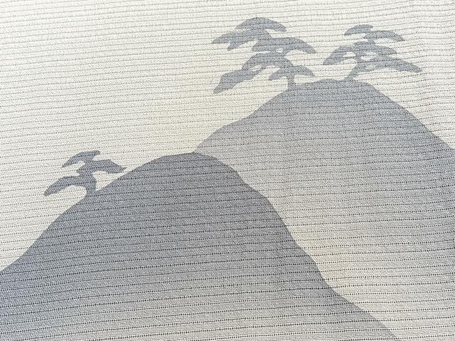 平和屋着物*夏物 訪問着 絽縮緬 遠山松文 正絹 逸品 未使用 CABJ4220xi