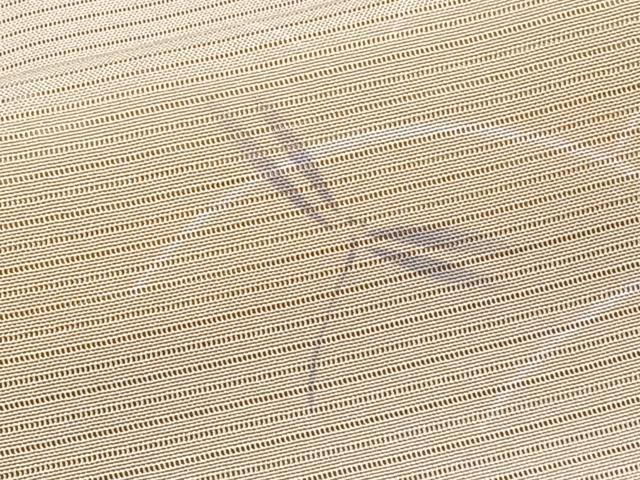 平和屋着物*夏物 小紋 絽 芝トンボ柄 正絹 逸品 CABJ4238xi